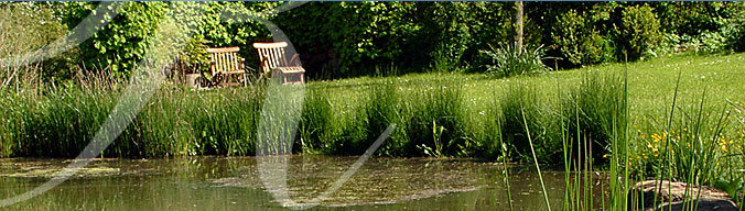 Ruhezone mit Deckchairs am Teich