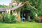 Ferienhaus mit üppiger Blütenpracht im Sommer