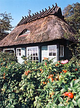 Gartenlaube im Rosengarten Unewatt